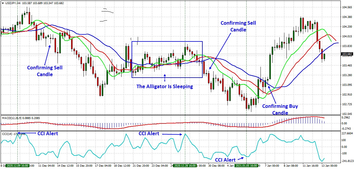 Williams Alligator Strategy Alligator Indicator Settings IFCM UK
